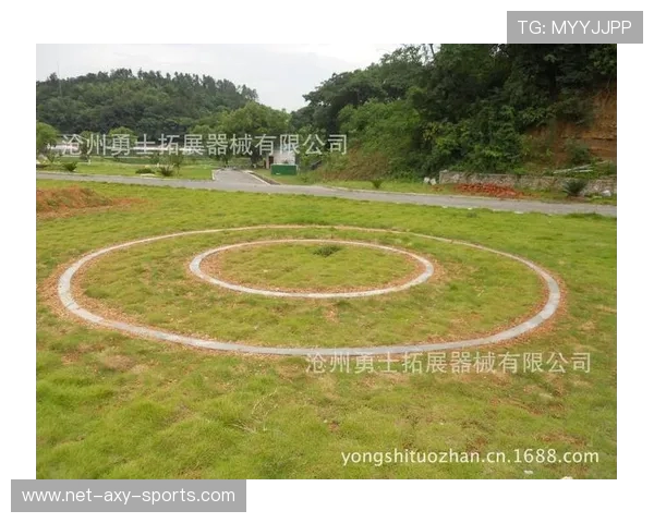 南京极限运动队整体压制体系的战术创新与实践探索 南京极限运动队整体压制体系的战术创新与实践探索