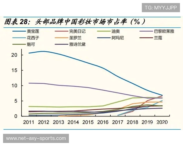 杭州排球队战术解析与比赛策略的深度探讨与展望